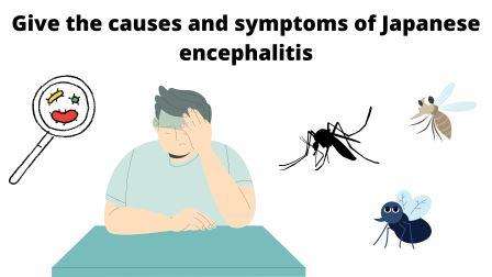 give the causes and symptoms of japanese encephalitis